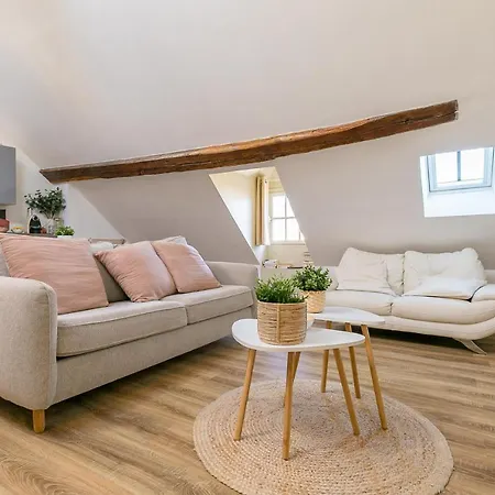 Le Dentan, Au Centre Historique De Apartment