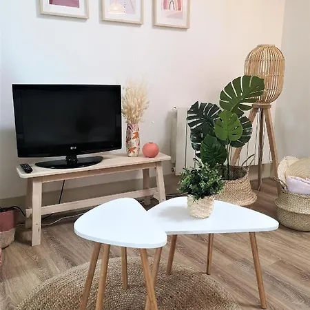 Le Dentan, Au Centre Historique De Apartment Dijon