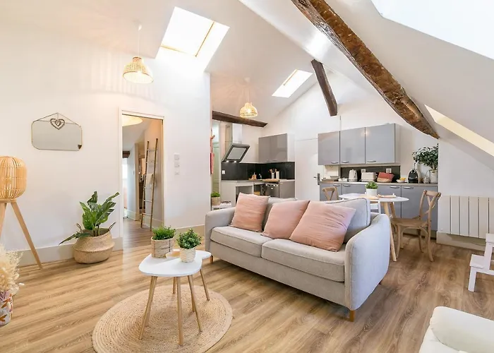 Апартаменты Le Dentan, Au Centre Historique De Дижон