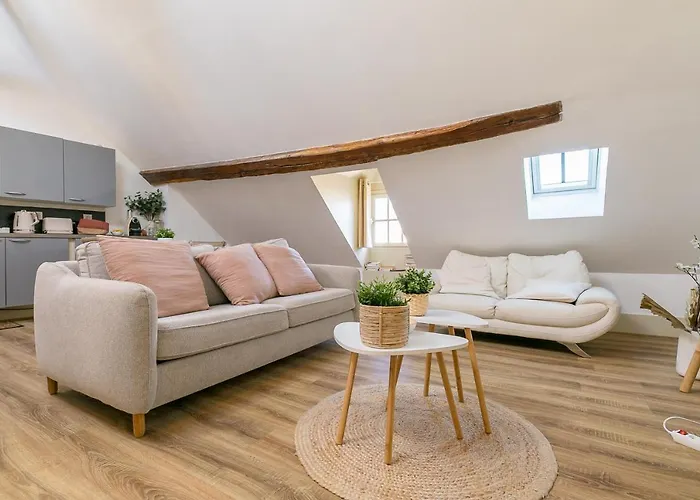 Le Dentan, Au Centre Historique De Apartment