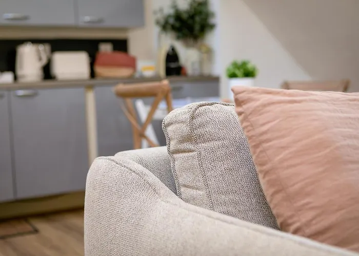 Le Dentan, Au Centre Historique De Апартаменты *