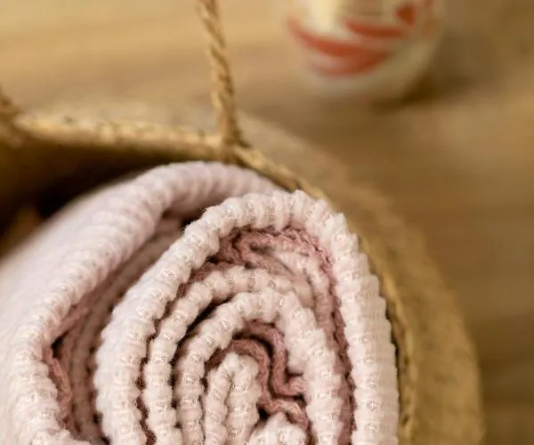 Le Dentan, Au Centre Historique De *