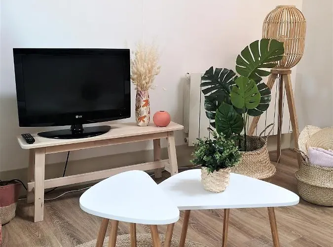 Le Dentan, Au Centre Historique De Apartment Dijon